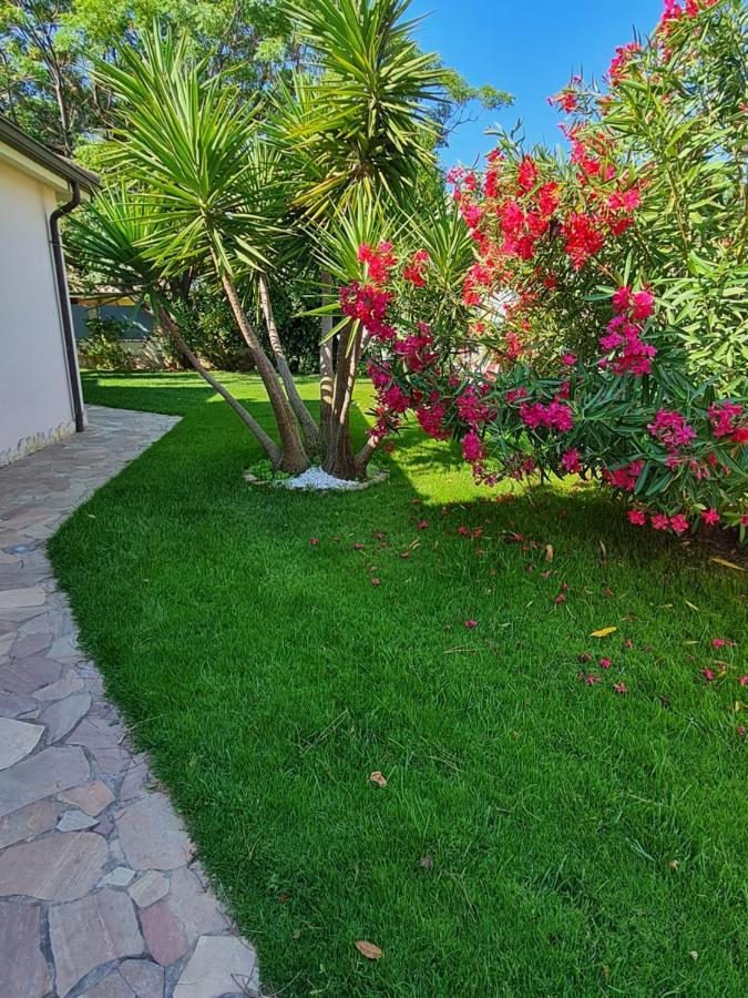 Gentarrubia Bed & Breakfast Capoterra Dış mekan fotoğraf